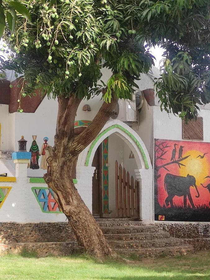 Maghrabi'S Guest House Aswan Exterior photo